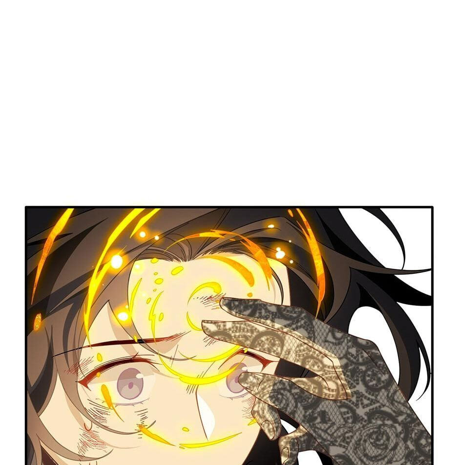 The Paladin