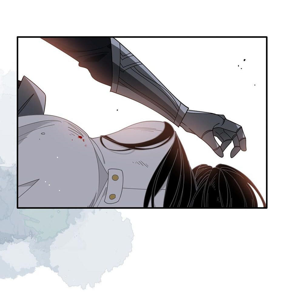 The Paladin