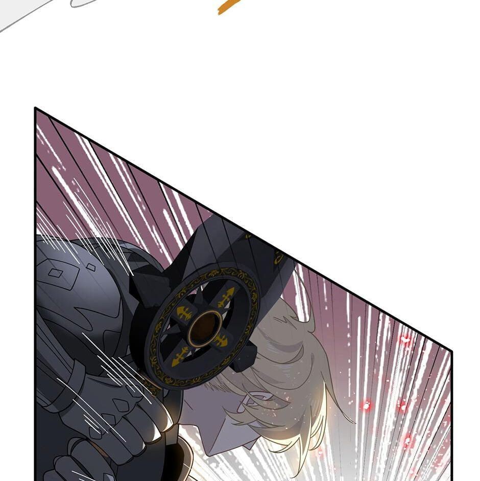 The Paladin
