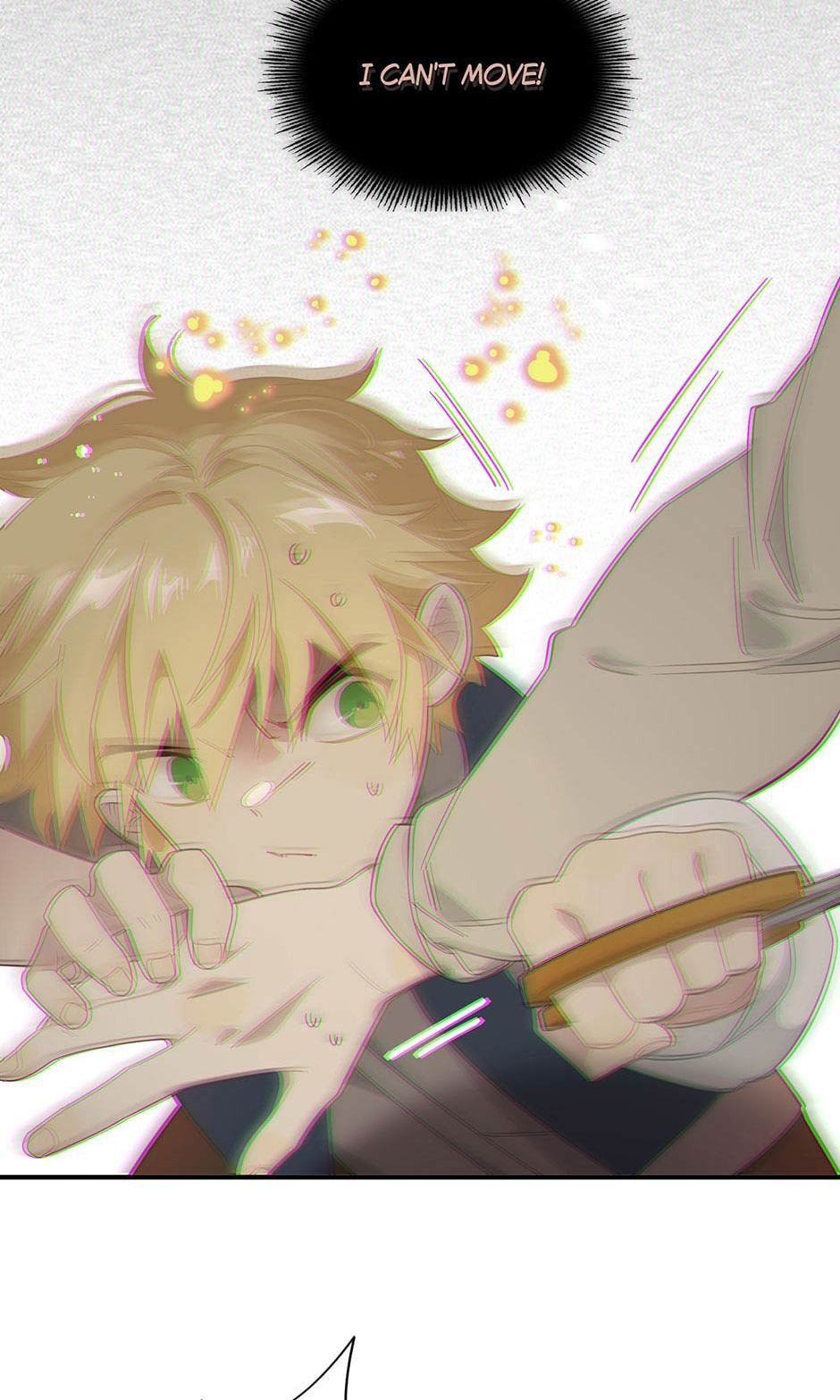 The Paladin