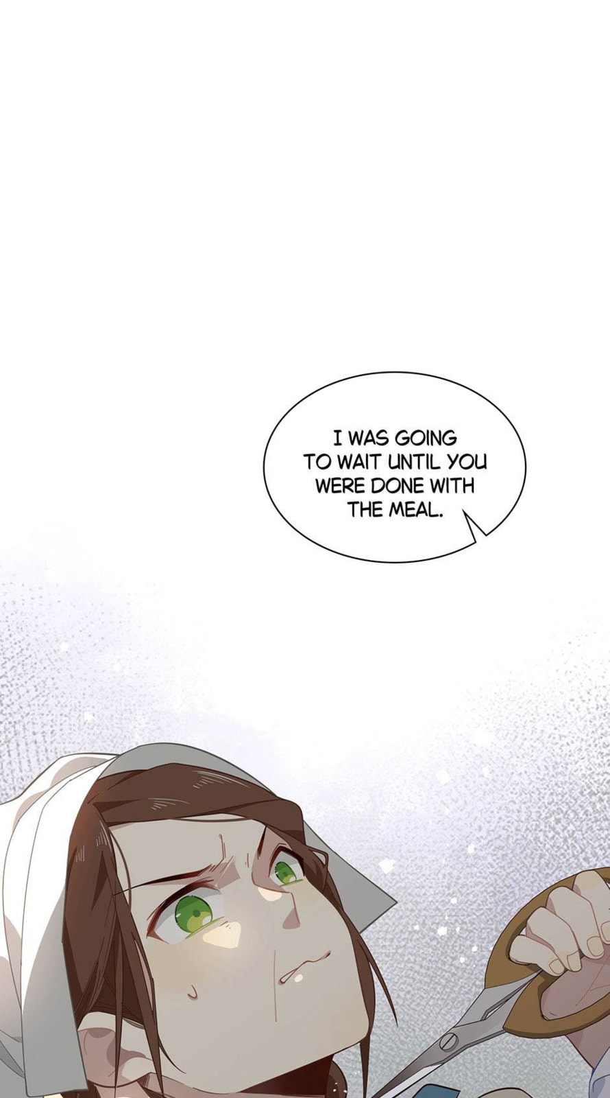 The Paladin