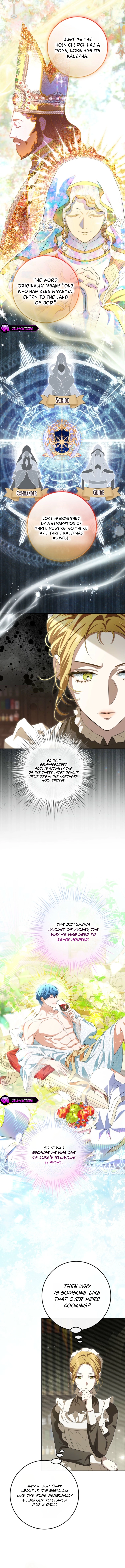 The Peaceful Life of a Maid Who Hides Her Power Chapter 29 page 9 - 