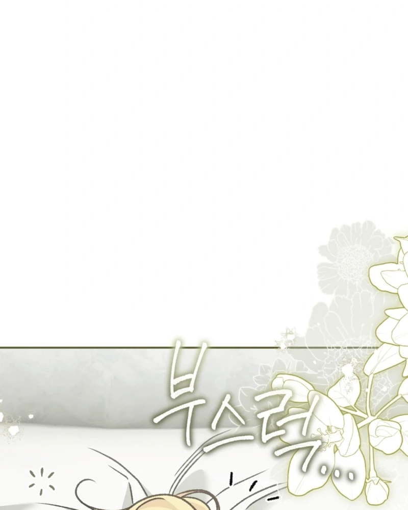 The Pearl of Albrecht Chapter 27 page 14 - 
