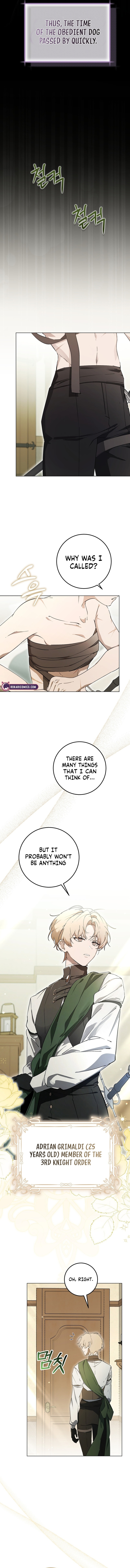 The Perfect Curse Chapter 1 page 17 - 