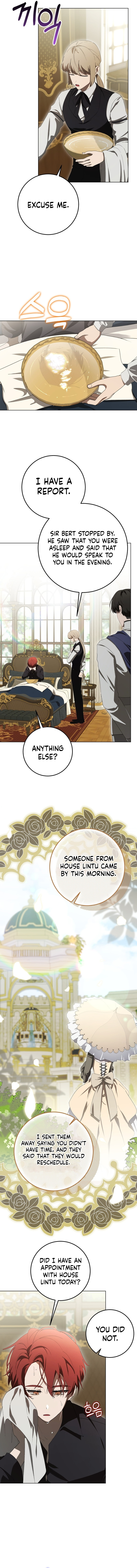 The Perfect Curse Chapter 11 page 12 - 