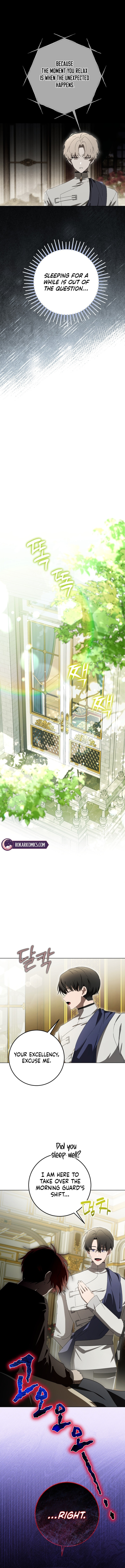 The Perfect Curse Chapter 11 page 5 - 