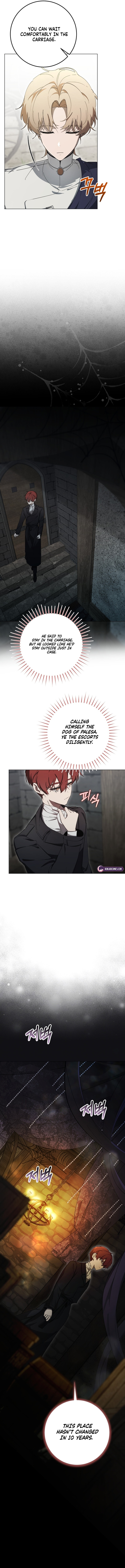 The Perfect Curse Chapter 3 page 17 - 