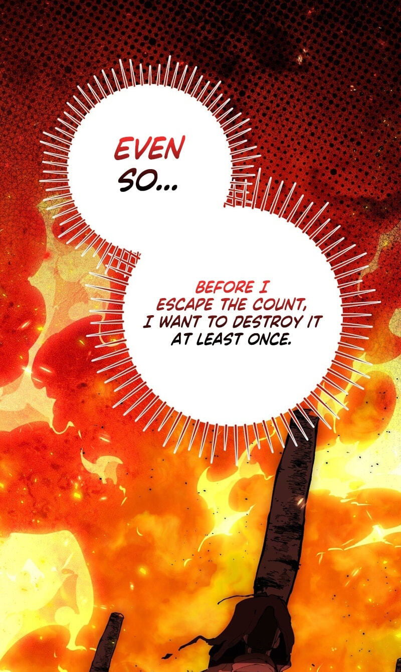 The Perfect Curse Chapter 39 page 13 - 