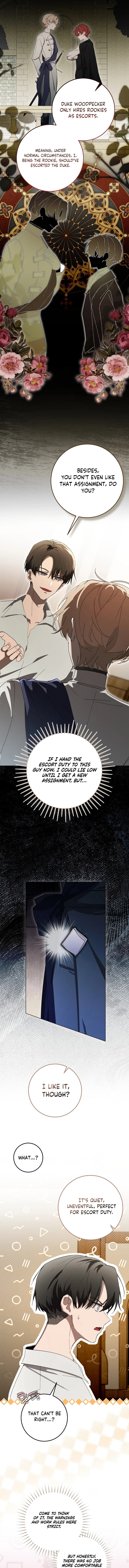 The Perfect Curse Chapter 5 page 8 - 