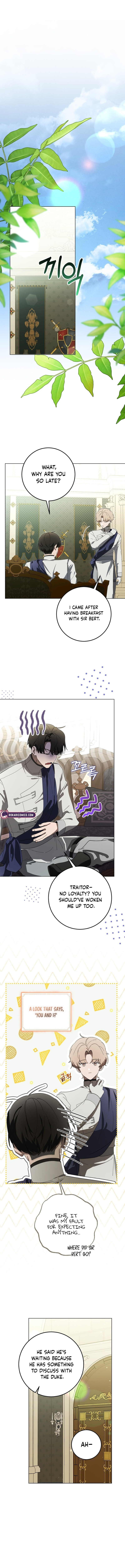 The Perfect Curse Chapter 8 page 11 - 