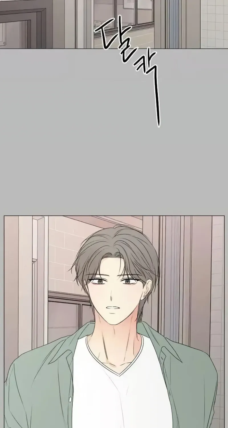 The Perfect Male Lead Chapter 11 page 5 - 