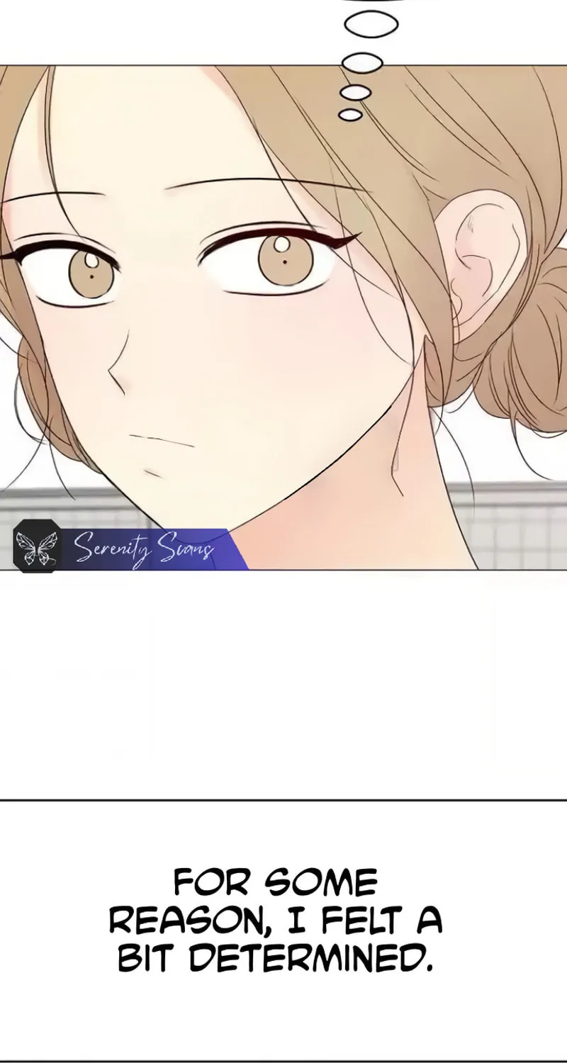 The Perfect Male Lead Chapter 12 page 19 - 