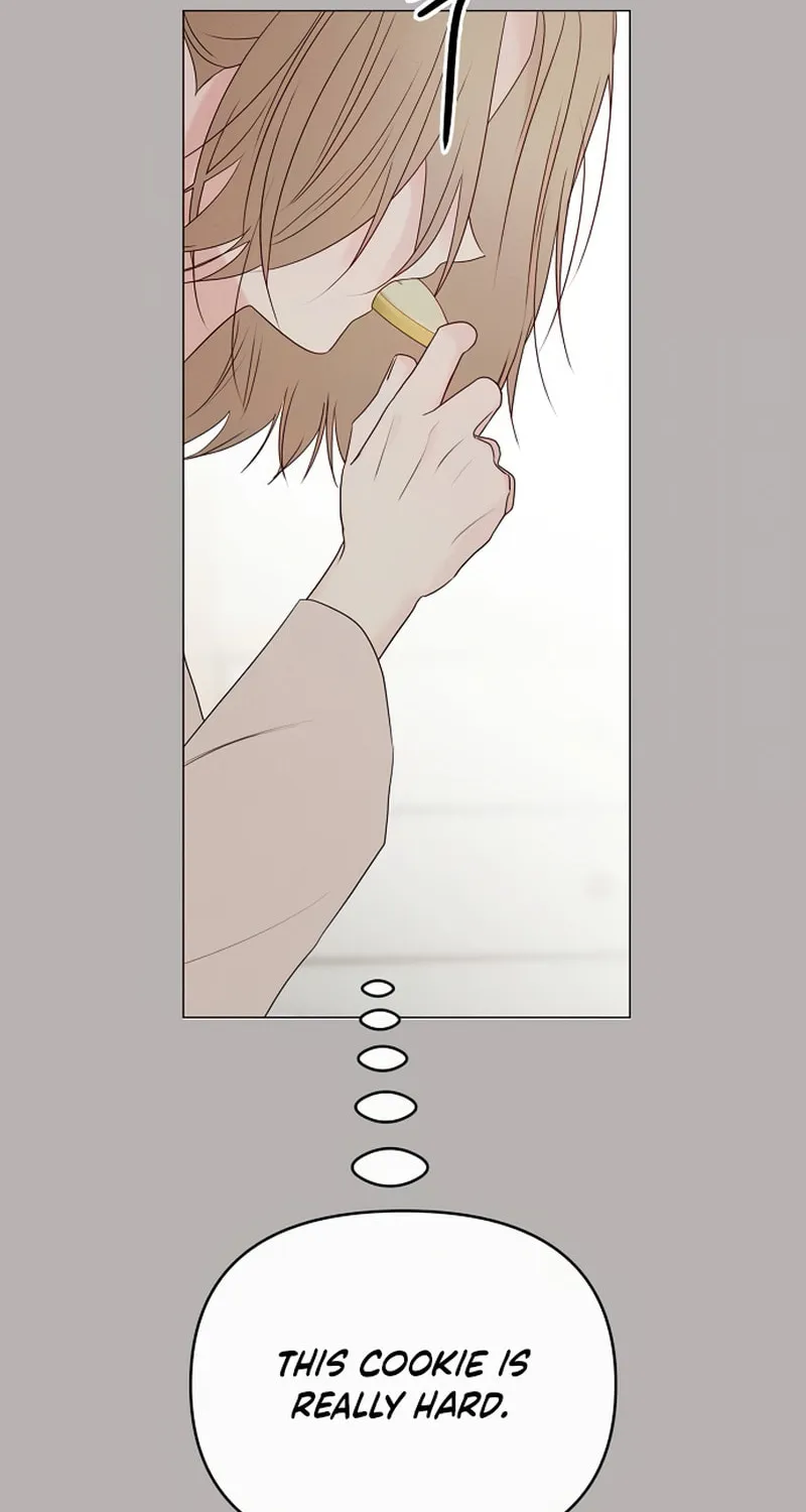 The Perfect Male Lead Chapter 14 page 52 - 