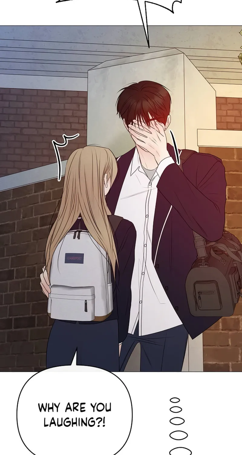 The Perfect Male Lead Chapter 15 page 18 - 