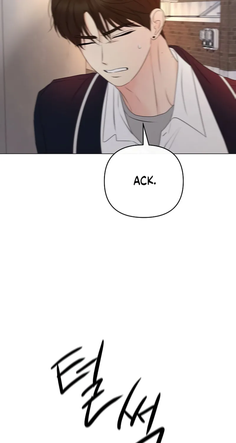 The Perfect Male Lead Chapter 15 page 5 - 