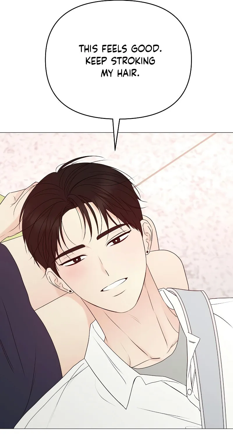 The Perfect Male Lead Chapter 17 page 34 - 