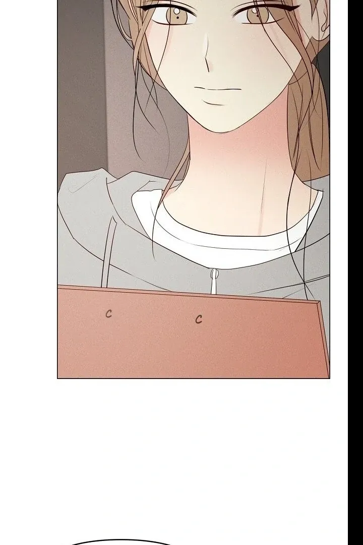 The Perfect Male Lead Chapter 20 page 53 - 