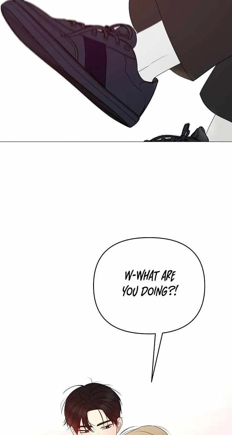 The Perfect Male Lead Chapter 23 page 77 - 