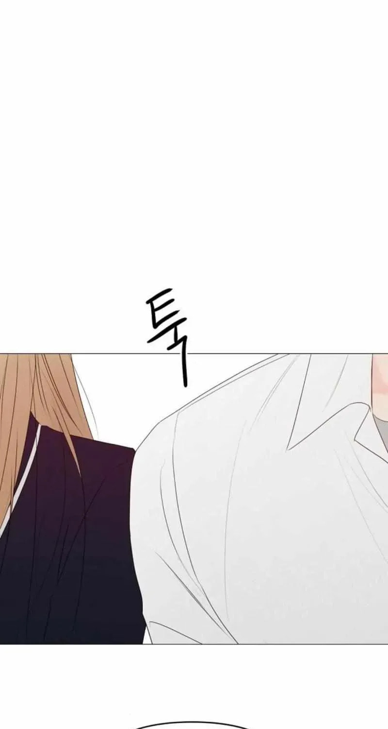 The Perfect Male Lead Chapter 24 page 3 - 