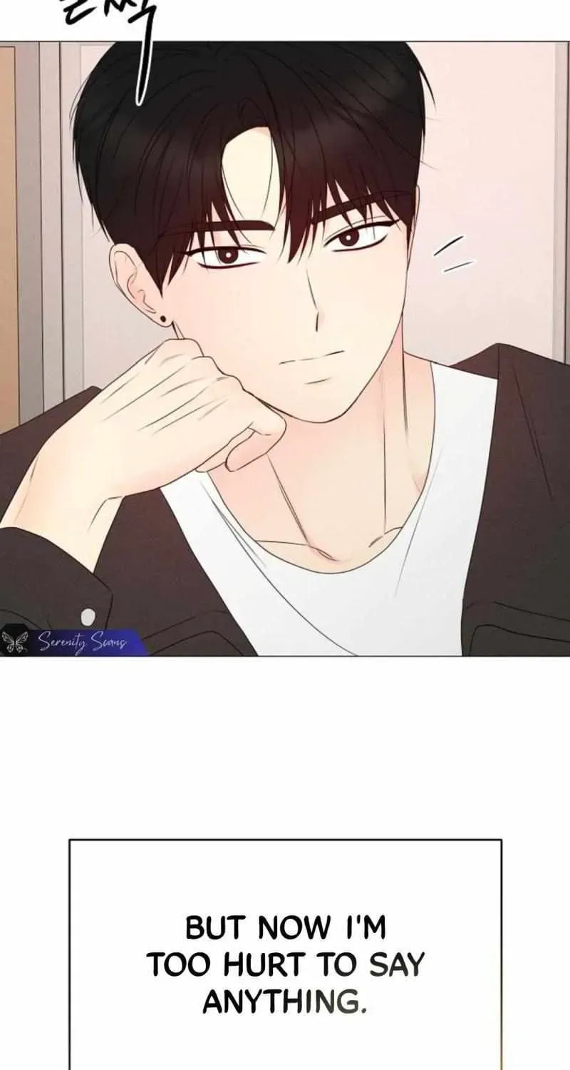 The Perfect Male Lead Chapter 24 page 25 - 