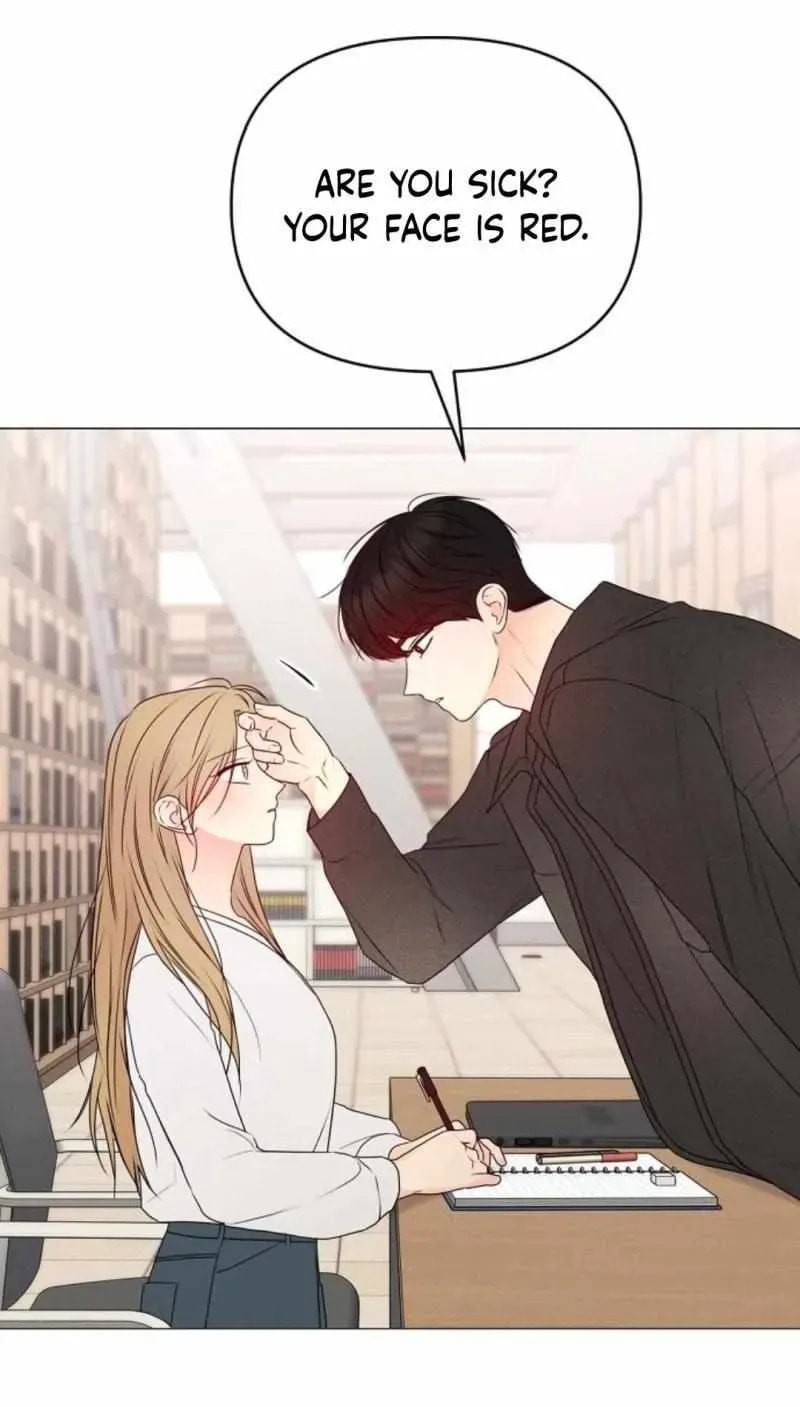 The Perfect Male Lead Chapter 24 page 27 - 