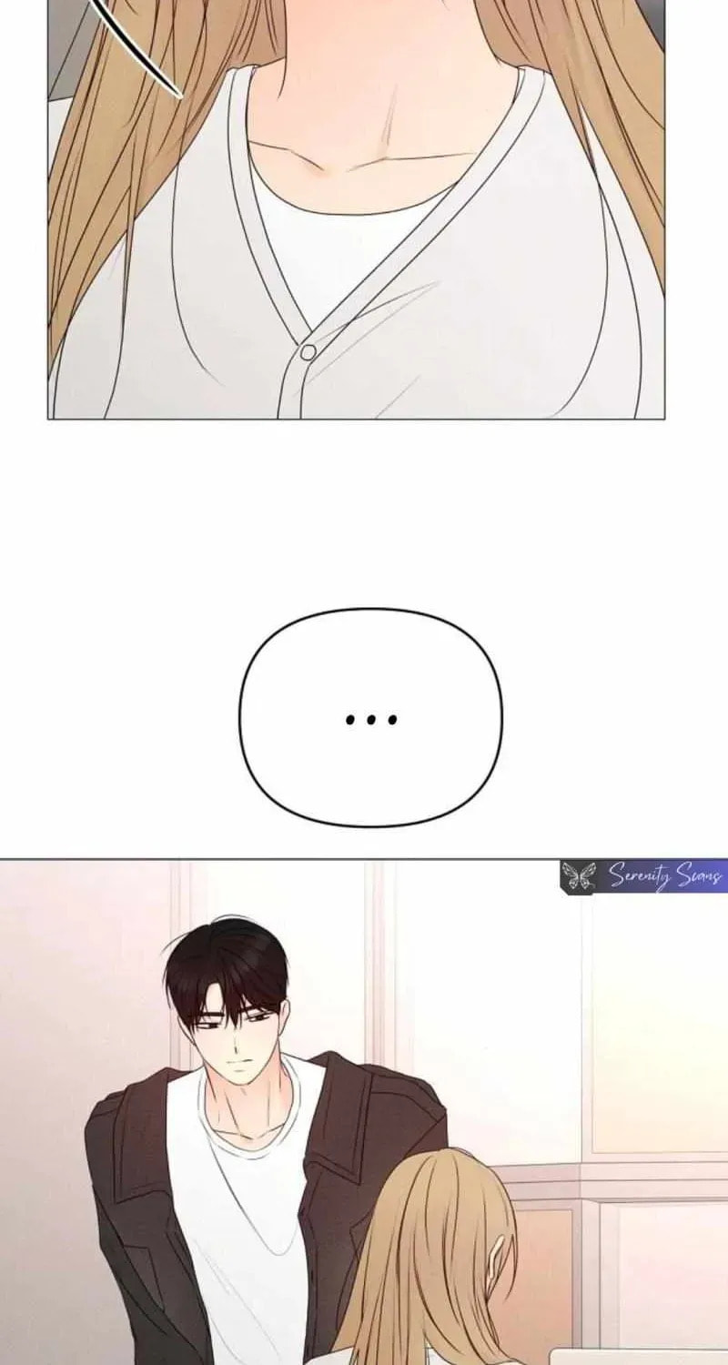 The Perfect Male Lead Chapter 24 page 29 - 