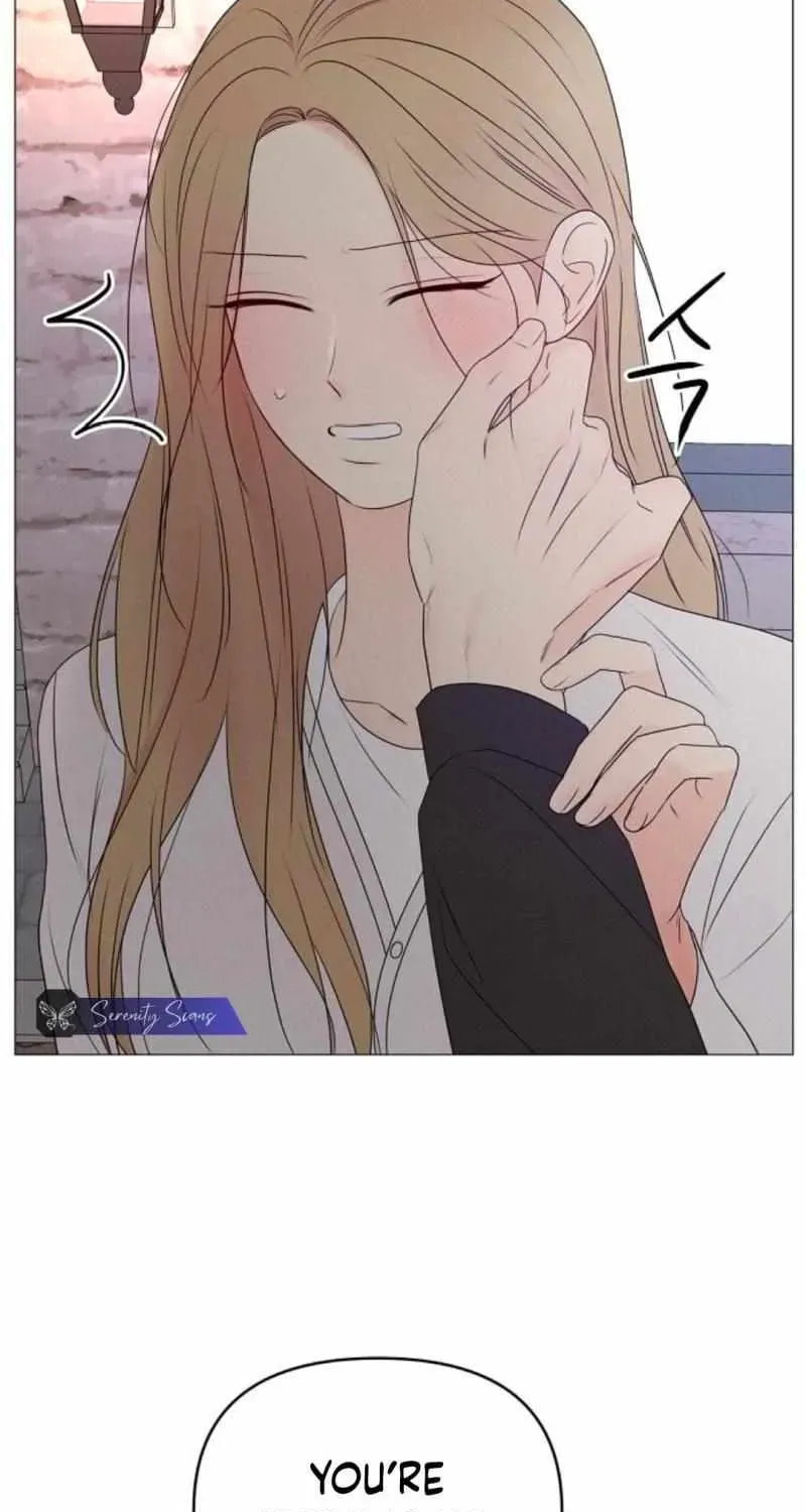 The Perfect Male Lead Chapter 24 page 55 - 