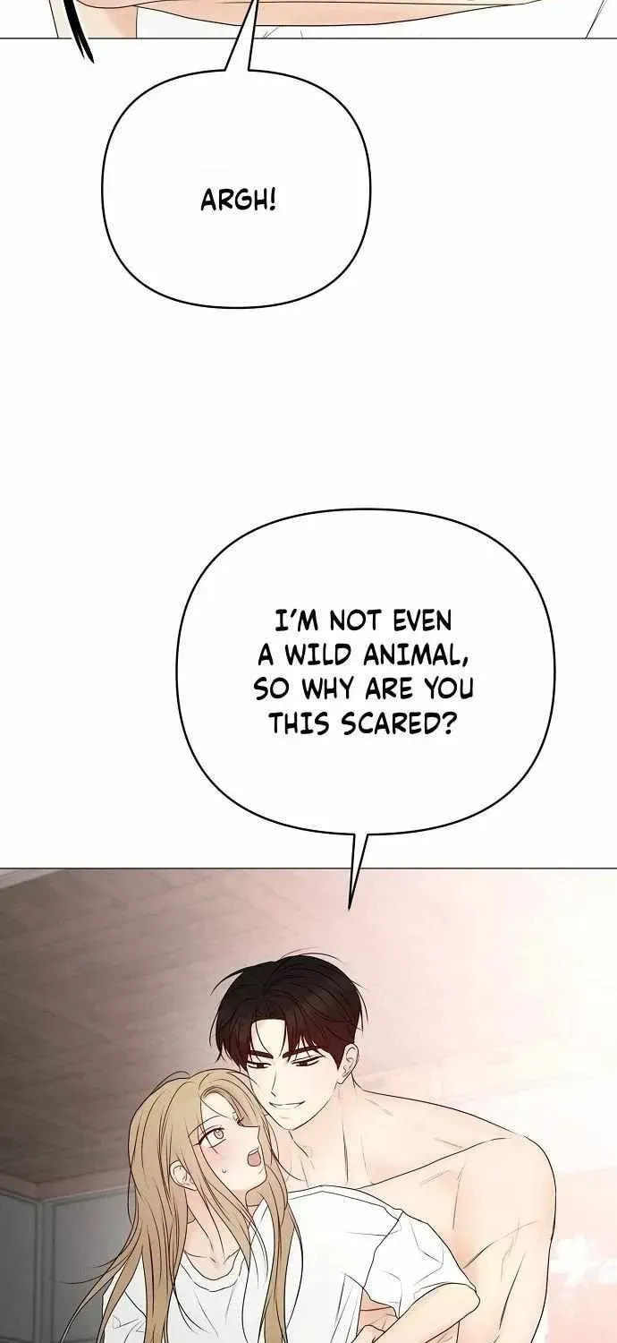 The Perfect Male Lead Chapter 34 page 19 - 