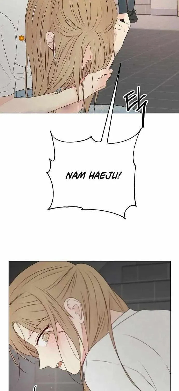 The Perfect Male Lead Chapter 35 page 64 - 