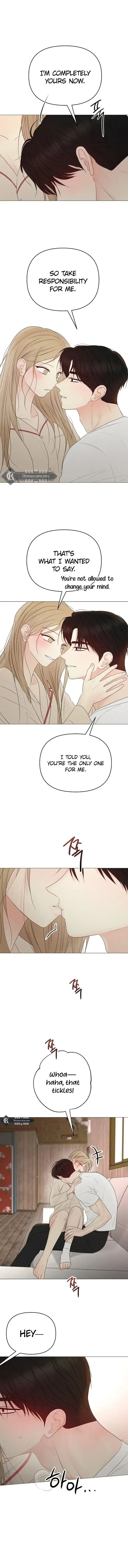 The Perfect Male Lead Chapter 40 page 1 - 