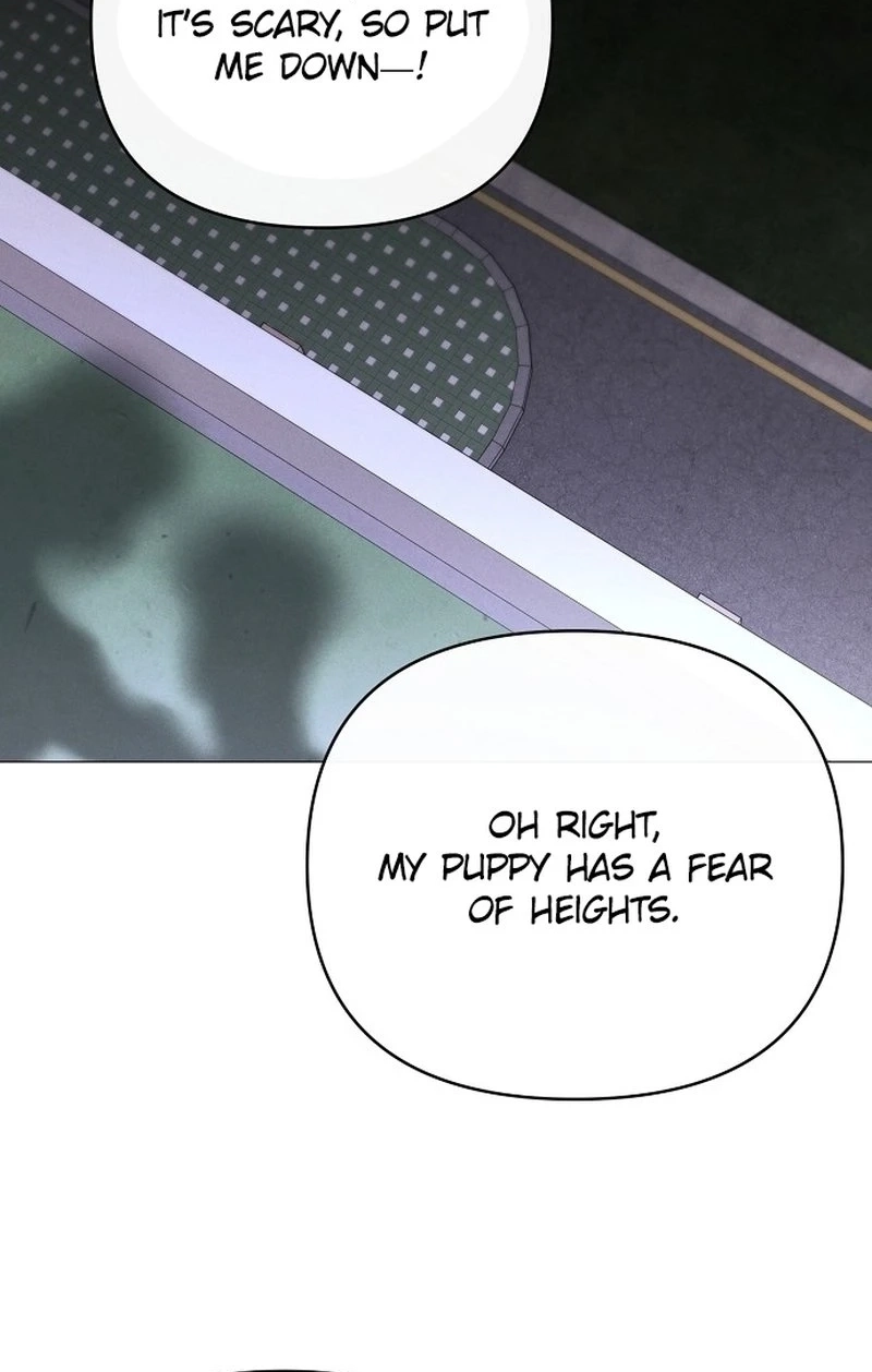 The Perfect Male Lead Chapter 433 page 118 - 