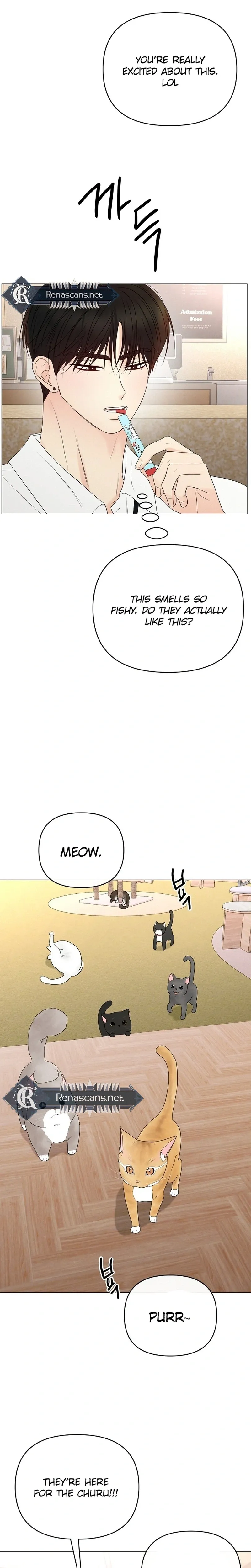 The Perfect Male Lead Chapter 48 page 38 - 