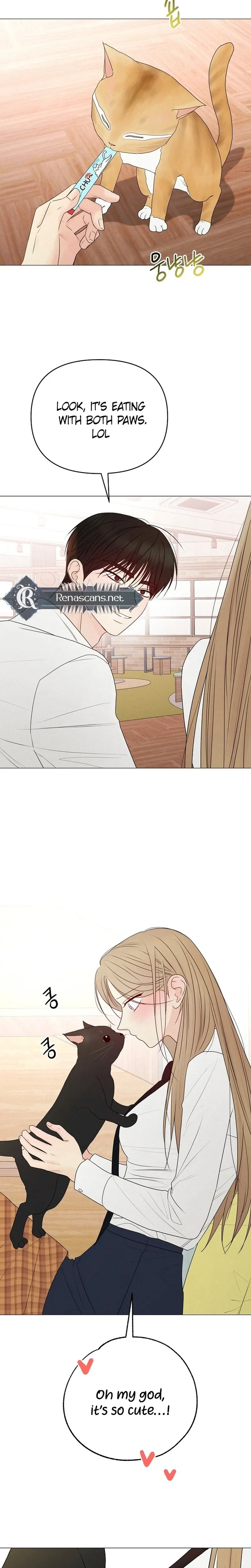 The Perfect Male Lead Chapter 48 page 40 - 