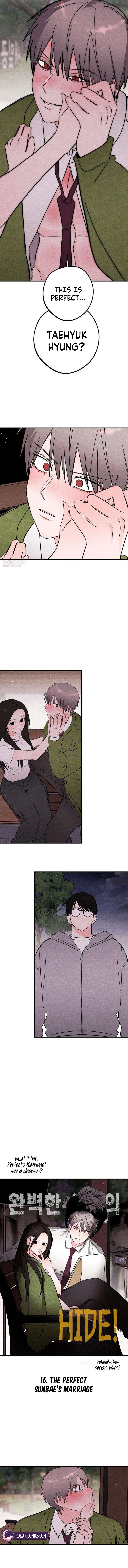 The Perfect Senior’s Secret! Chapter 16 page 3 - 