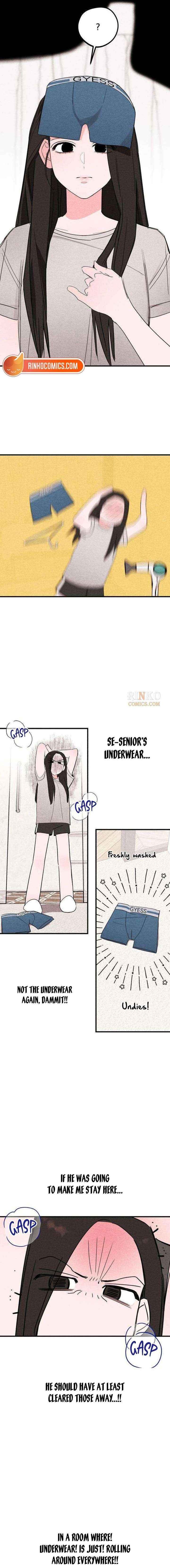 The Perfect Senior’s Secret! Chapter 8 page 4 - 