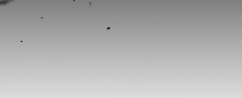 The Perfect Chapter 1.1 page 14 - 