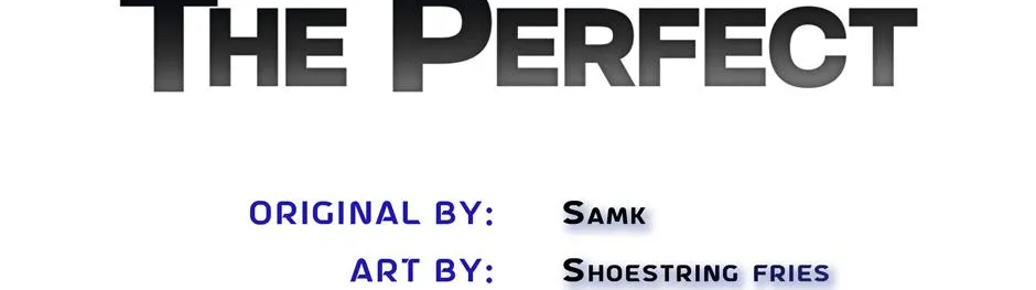The Perfect Chapter 25 page 27 - 