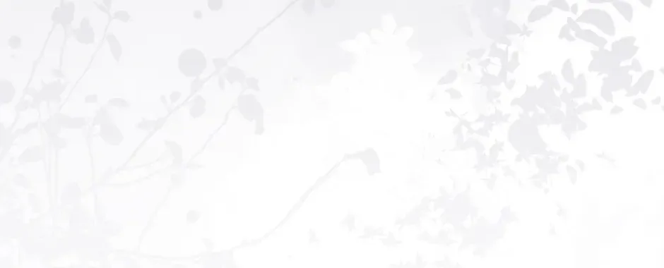 The Perfect Chapter 33 page 87 - 