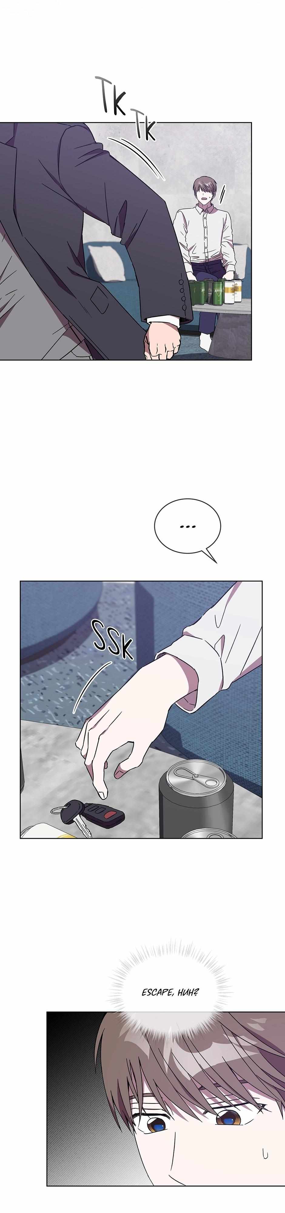 The Perfect Chapter 65 page 19 - 