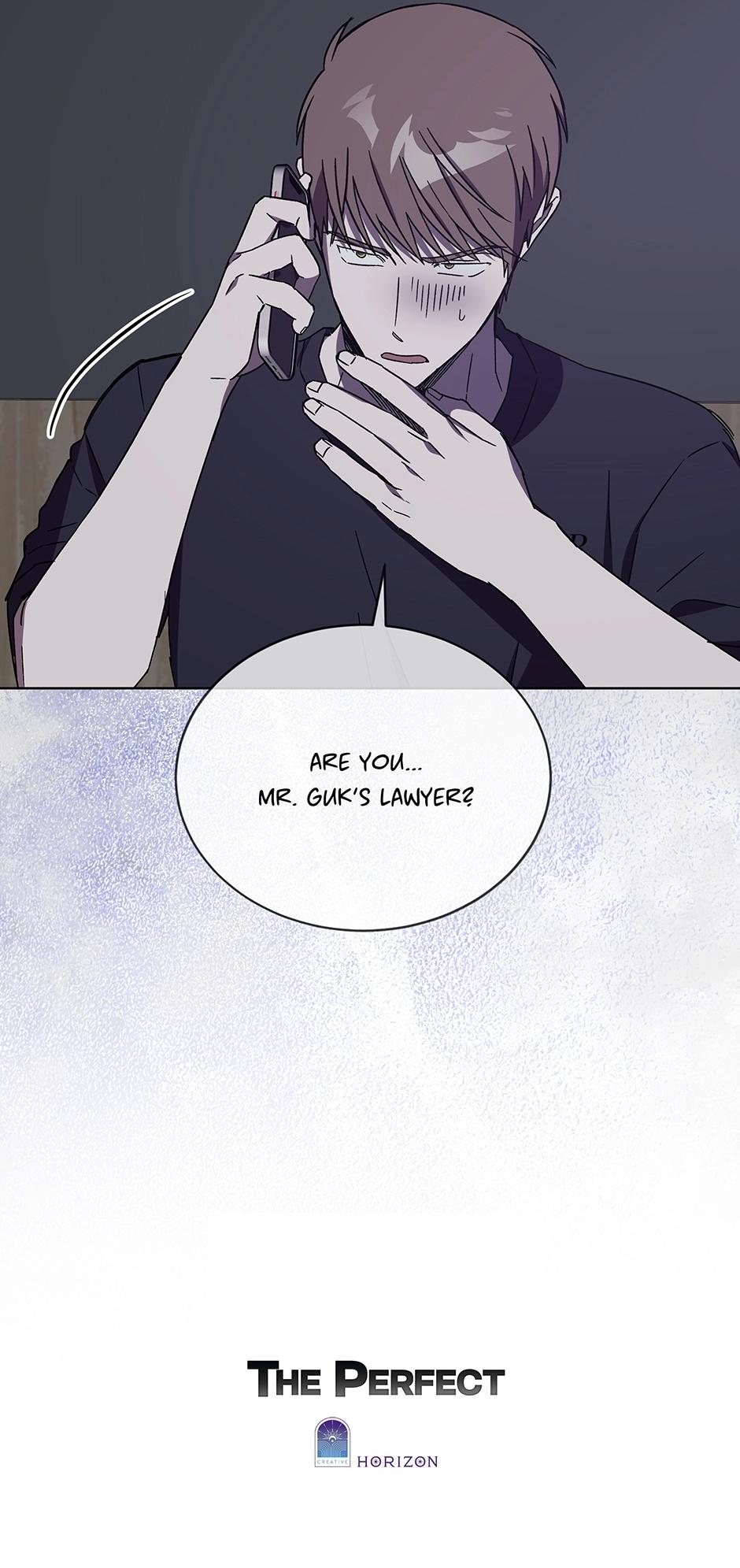 The Perfect Chapter 66 page 28 - 