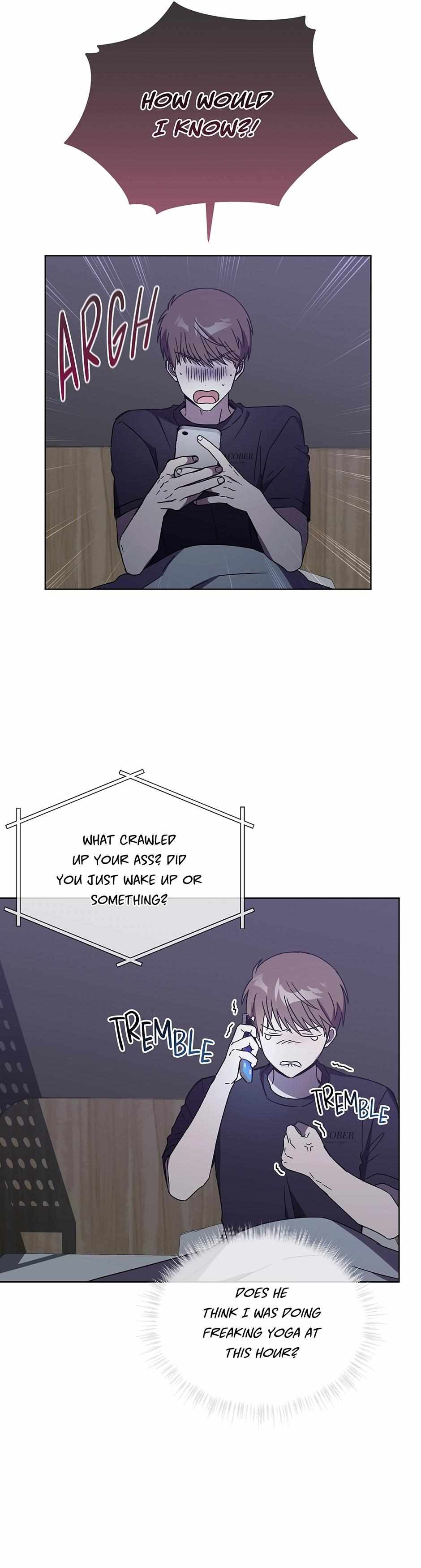The Perfect Chapter 67 page 5 - 
