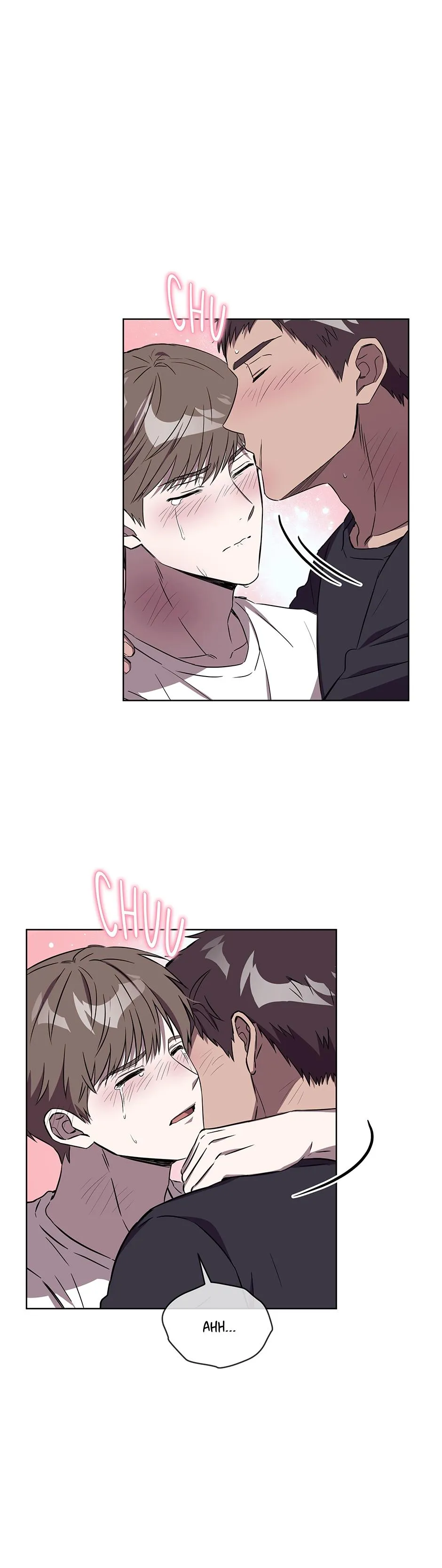 The Perfect Chapter 75 page 15 - 