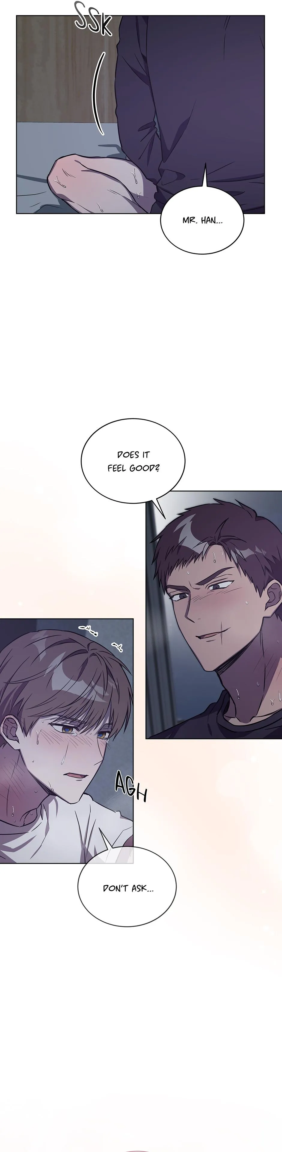 The Perfect Chapter 75 page 19 - 