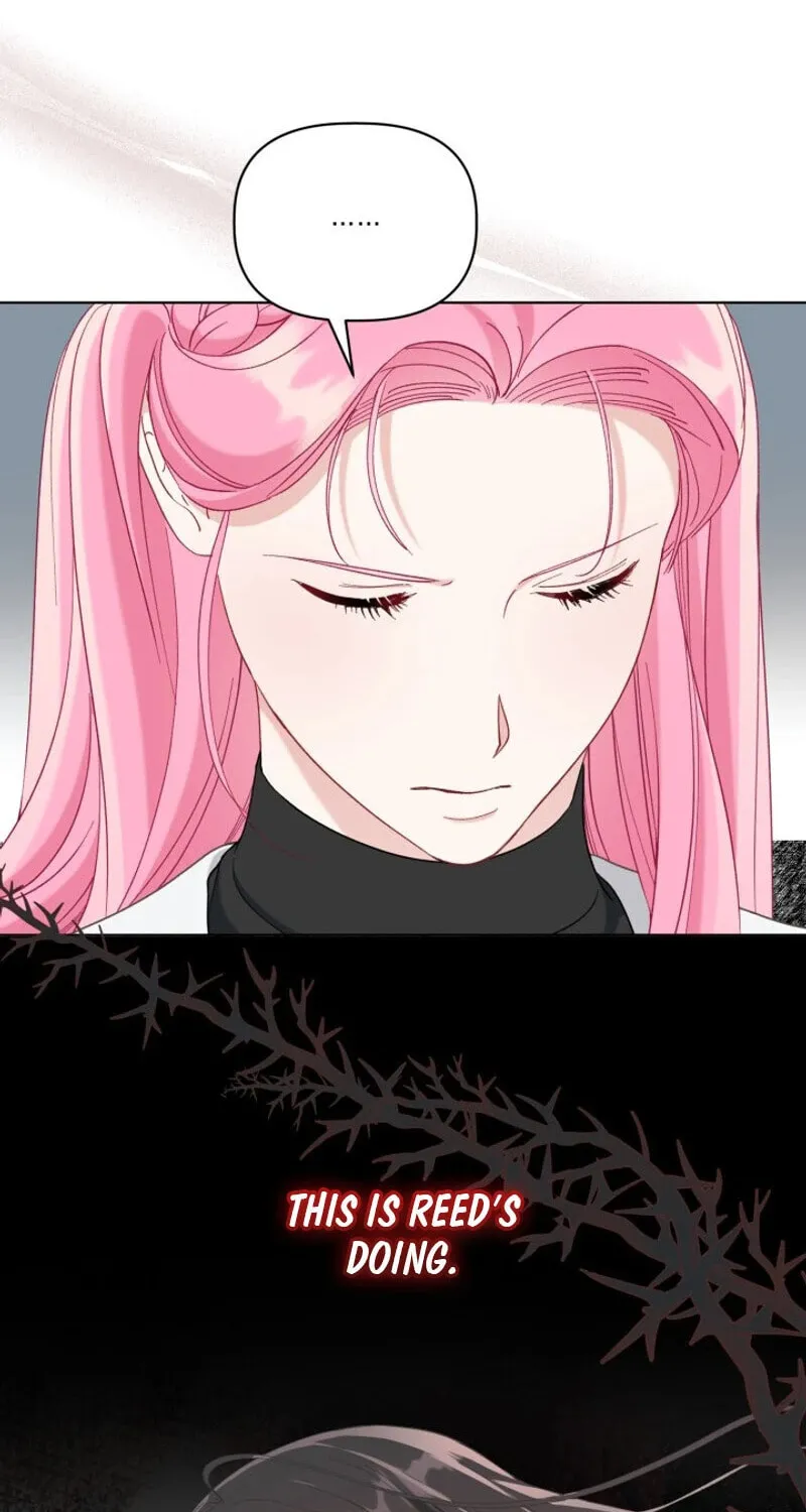 The Perks of Being an S-Class Heroine Chapter 100 page 82 - 