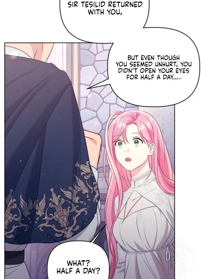 The Perks of Being an S-Class Heroine Chapter 106 page 25 - 