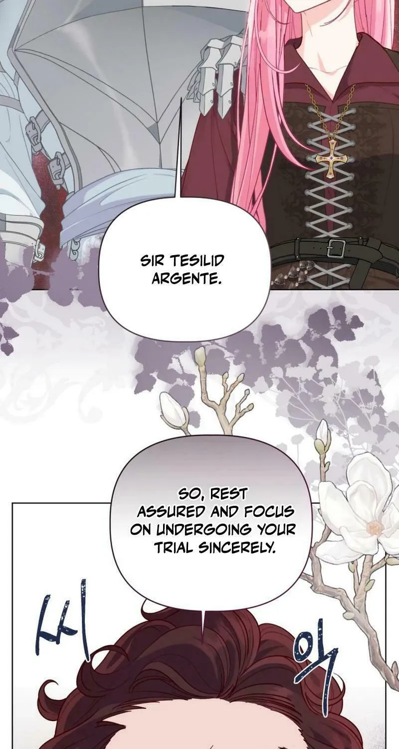 The Perks of Being an S-Class Heroine Chapter 80 page 73 - 