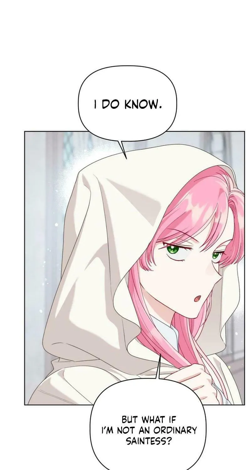 The Perks of Being an S-Class Heroine Chapter 84 page 27 - 
