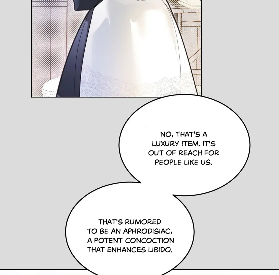 The Phantom Princess Chapter 2 page 20 - 