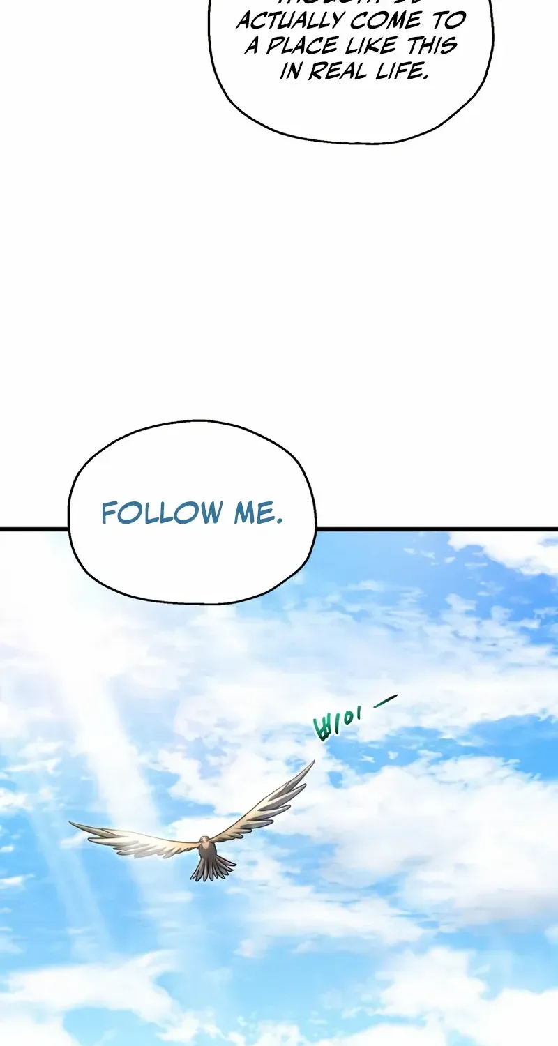 The Player That Can