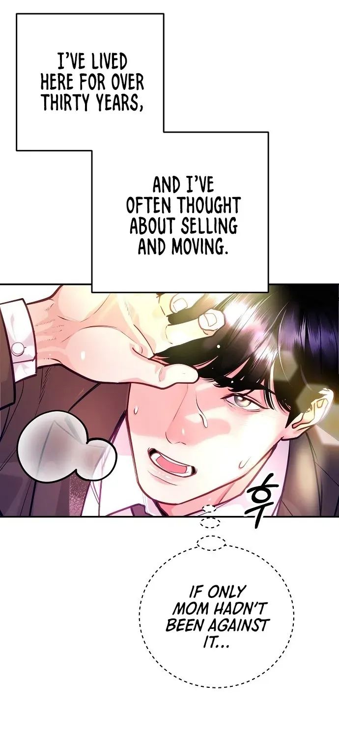 The Pocket Dimension of an Ordinary Lawyer Chapter 1 page 47 - 